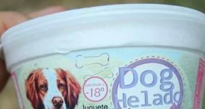 Dog Helado