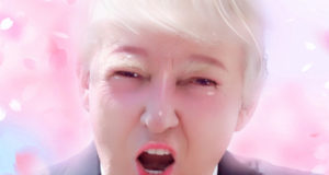 ¿Qué es Meitu?