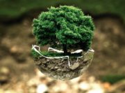 Estas ideas de negocios ecológicos te encantarán ¡La 4ta es mi favorita!