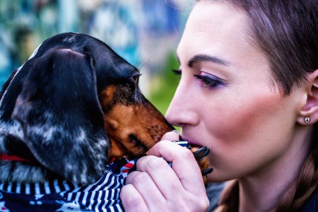 Sabías que tu perro puede detectar si una persona es buena