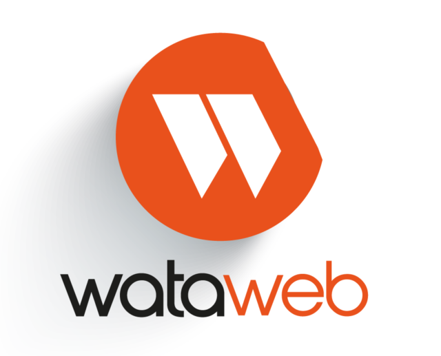 Wataweb, posiciona tu negocio con el marketing ideal