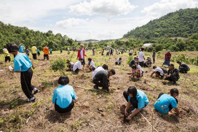 Cortesía: https://chapultepec.org.mx/filipinas-estudiantes-requisito-plantar-arboles-millones-reforestacion-mundo/